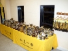 Dolphin Presentation Evening 013.jpg
